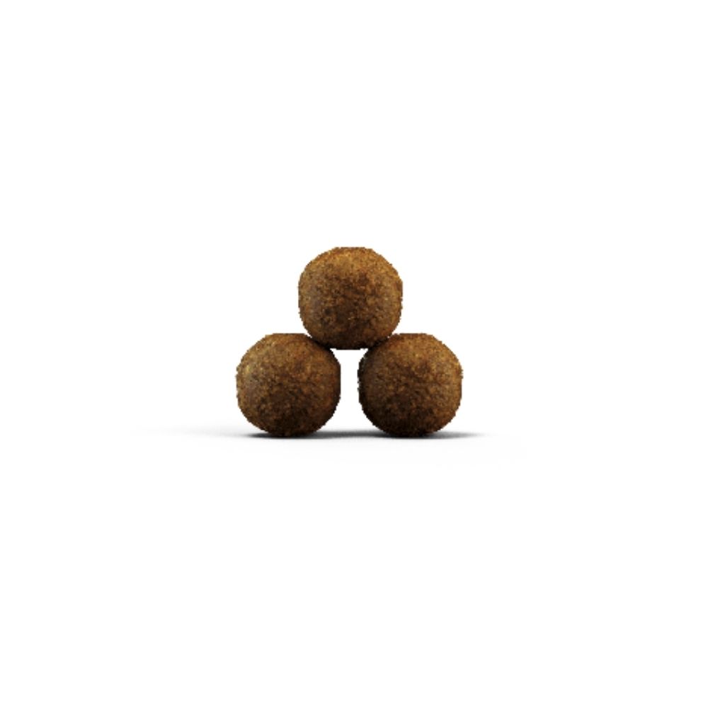 https://admins.vetfarmas.ee/storage/media/6679/4032254755005_2_Josera-SP-kaķiem-Kitten-grainfree-2-kg.jpg